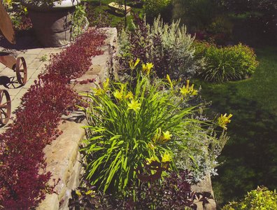gallery/medium/202 (28)-Landscapers-Hailey-Idaho.jpg
